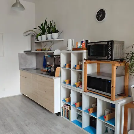 Evergreen Hostel Krakow-2
